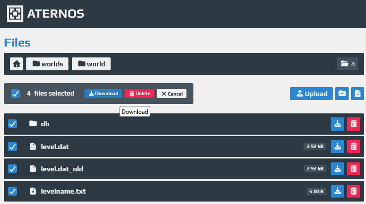 BDS world folder structure